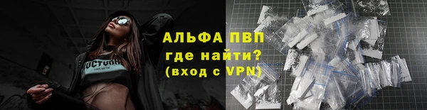 гидра Надым