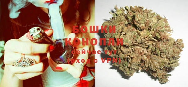 дурь Козловка