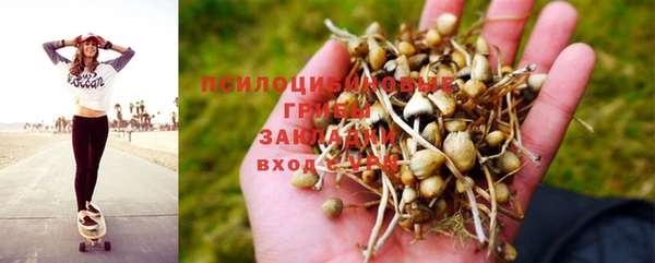 эйфоретик Домодедово