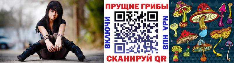 Галлюциногенные грибы MAGIC MUSHROOMS  мориарти формула  Павловская  наркота 